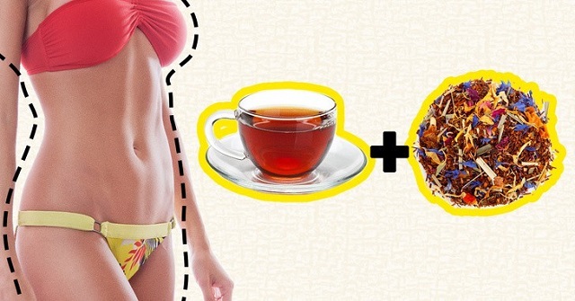 Sử dung trà Rooibos sẽ giúp lượng mỡ thừa giảm đáng kể