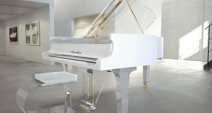 Piano Điện Hay Piano Cơ Phù Hợp Với Bạn? 9