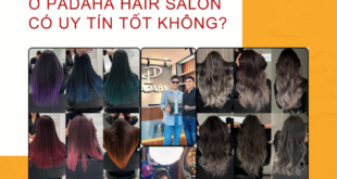 Padaha Hair Salon Làm Tóc Tốt Thật Không? 1