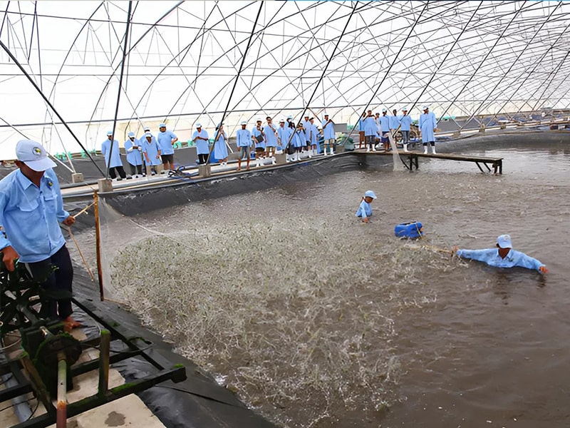 Trường Nào Dạy Nghề Nuôi Trồng Thủy Sản Tốt Nhất Tại Nghệ An? 10 Trường Nào Dạy Nghề Nuôi Trồng Thủy Sản Tốt Nhất Tại Nghệ An? 10