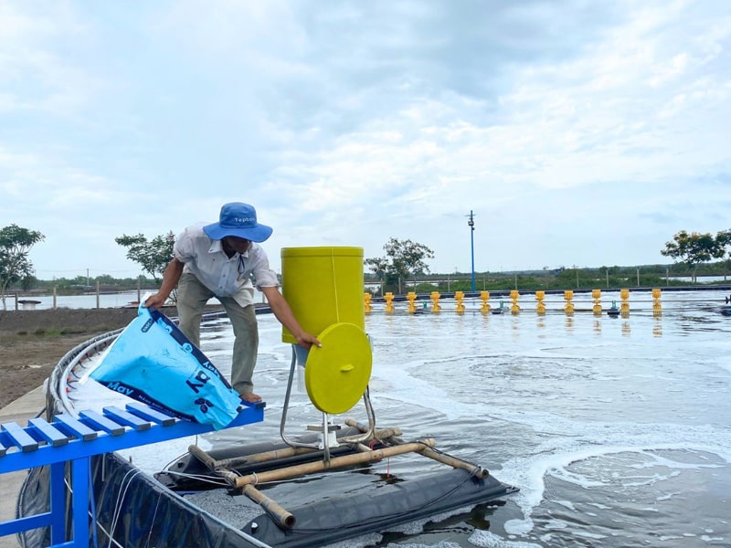 Trường Nào Dạy Nghề Nuôi Trồng Thủy Sản Tốt Nhất Tại Nghệ An? 7 Trường Nào Dạy Nghề Nuôi Trồng Thủy Sản Tốt Nhất Tại Nghệ An? 7