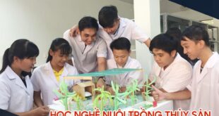 Trường Nào Dạy Nghề Nuôi Trồng Thủy Sản Tốt Nhất Tại Nghệ An? 15