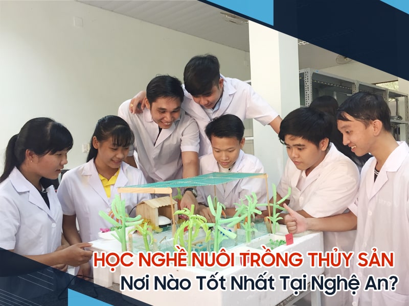 Trường Nào Dạy Nghề Nuôi Trồng Thủy Sản Tốt Nhất Tại Nghệ An? 6 Trường Nào Dạy Nghề Nuôi Trồng Thủy Sản Tốt Nhất Tại Nghệ An? 6