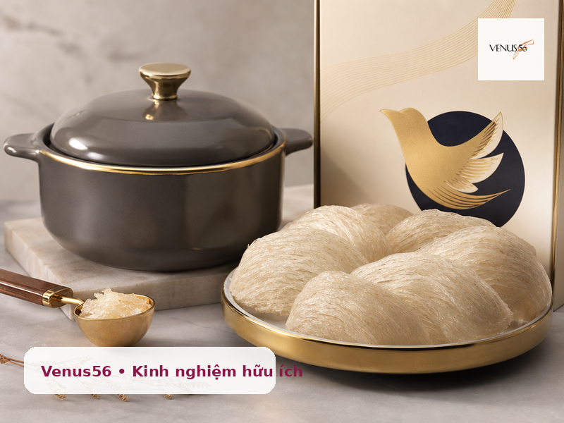 lợi ích của yến sào - chuẩn bị hồ sơ